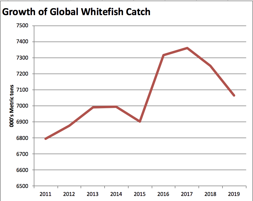 Groundfish Forum: Global Whitefish Supply Continues to Decline for 2019